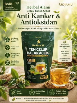 Pusat Toko Jual Teh Celup Balakacida Jamu Tradisional Harga Murah Kualitas Bagus Obat Sehat Anti Kanker Meningkatkan Imun Tubuh